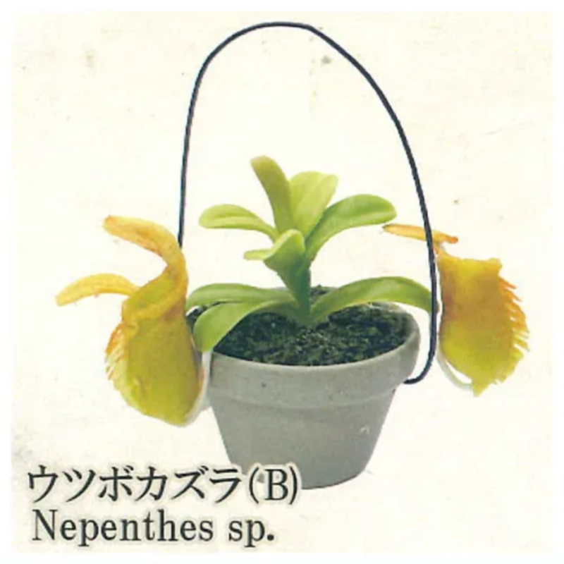 Japonya Gökkuşağı Gashapon Kap - Capsule Toy Gashapon incelemesi ve fiyatı