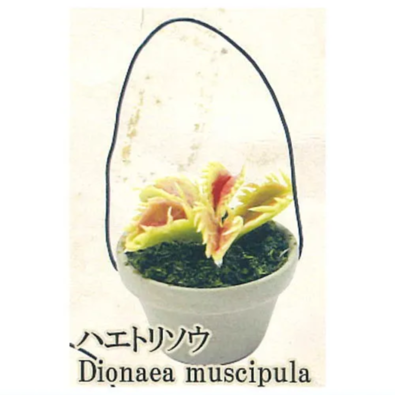 Japonya Gökkuşağı Gashapon Kap - Capsule Toy Gashapon incelemesi ve fiyatı